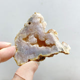 31 Pieces Sakura Flower Agate Slabs -Wholesale Crystals