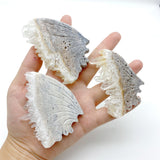 Clear Quartz Cluster Butterfly Wing With Stand Wholesale