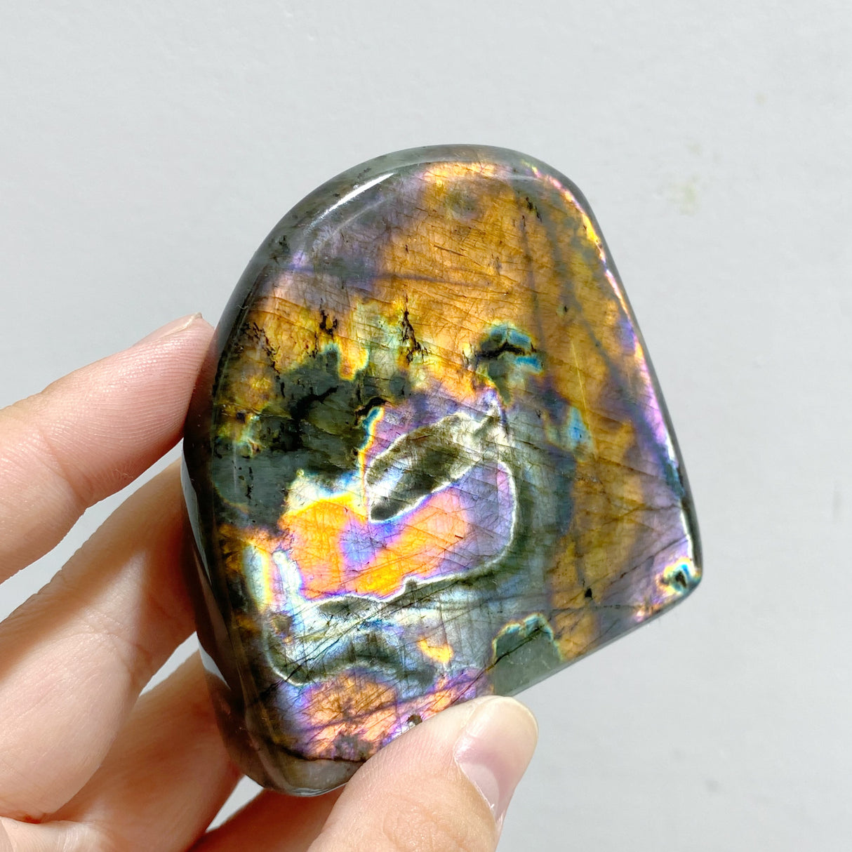 13 Pieces Polished Labradorite Free Form