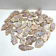 33 Pieces Sakura Flower Agate Slab - Wholesale Crystals