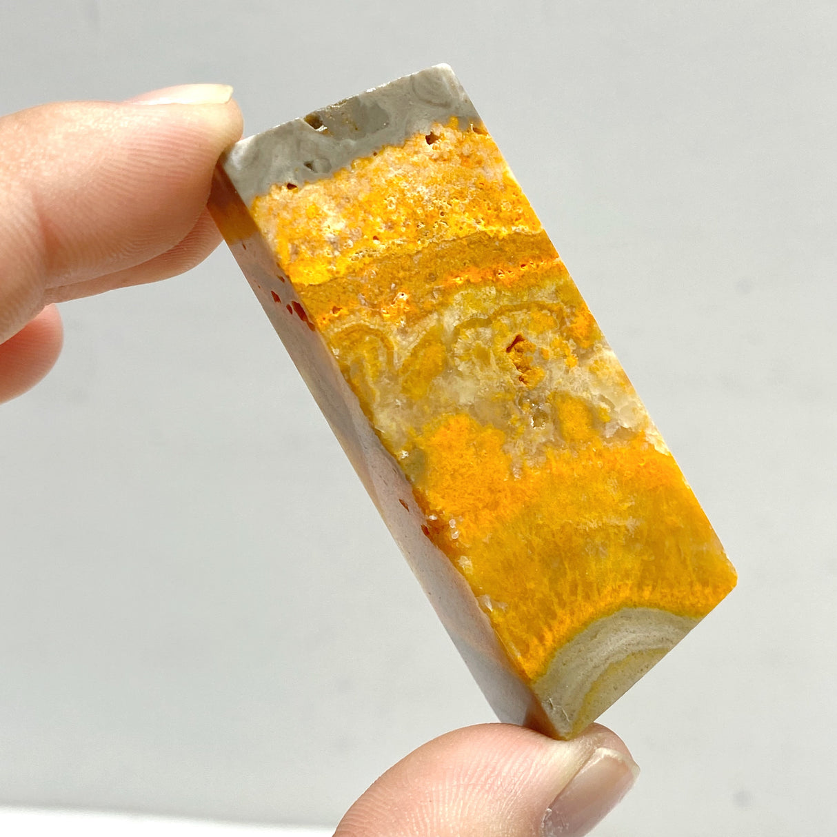 Bumble Bee Jasper Free Form Wholesale