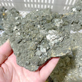 37 Pieces Raw Pyrite Stones (Sea Freight Only) -Wholesale Crystals