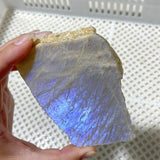 101 Pieces Blue Moonstone Slabs (Sea Freight Only)
