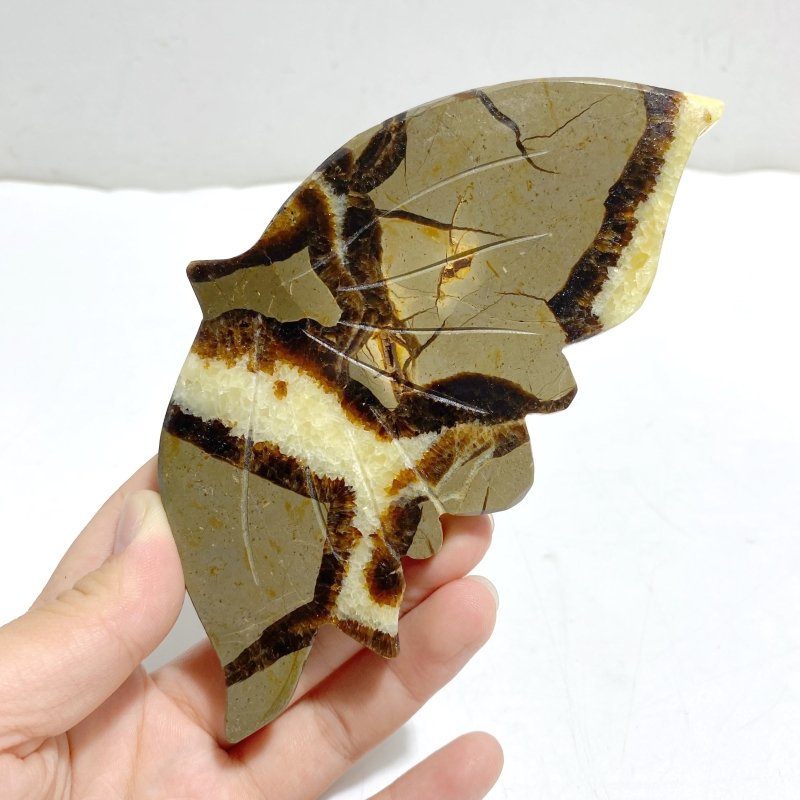 4 Pairs Septarian Butterfly Wing Carving With Stand 5 -Wholesale Crystals