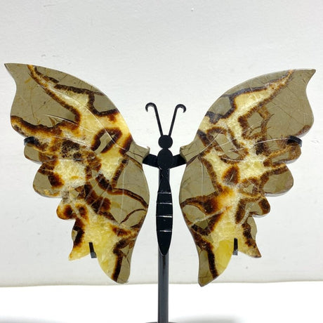 4 Pairs Septarian Butterfly Wing Carving With Stand 5 - Wholesale Crystals