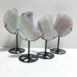 4 Pieces Fluorite Moon Carving With Stand - Wholesale Crystals