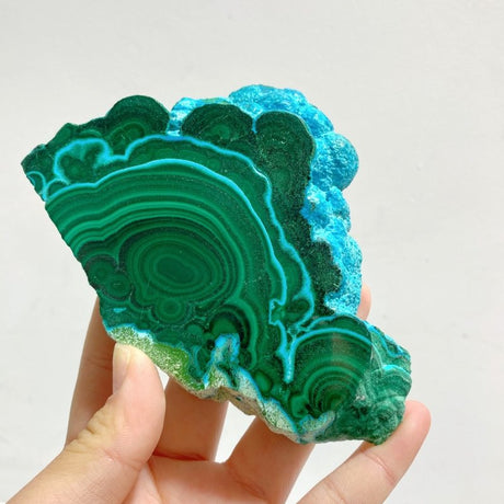 4 Pieces High Quality Beautiful Chrysocolla Mixed Malachite Slab Specimen 1 - Wholesale Crystals
