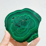 4 Pieces Large Polished Malachite Slab - Wholesale Crystals