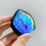 44 Pieces Polished Labradorite Free Form