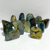 15 Pieces Labradorite Polished Free Form