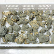 45 Pieces Raw Pyrite Stones (Sea Freight Only) -Wholesale Crystals