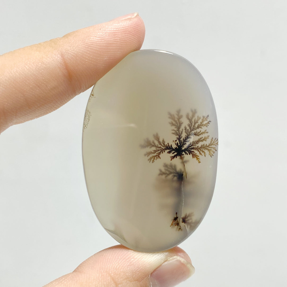 11 Pieces Natural Rare Scenic Dendritic Agate Stone
