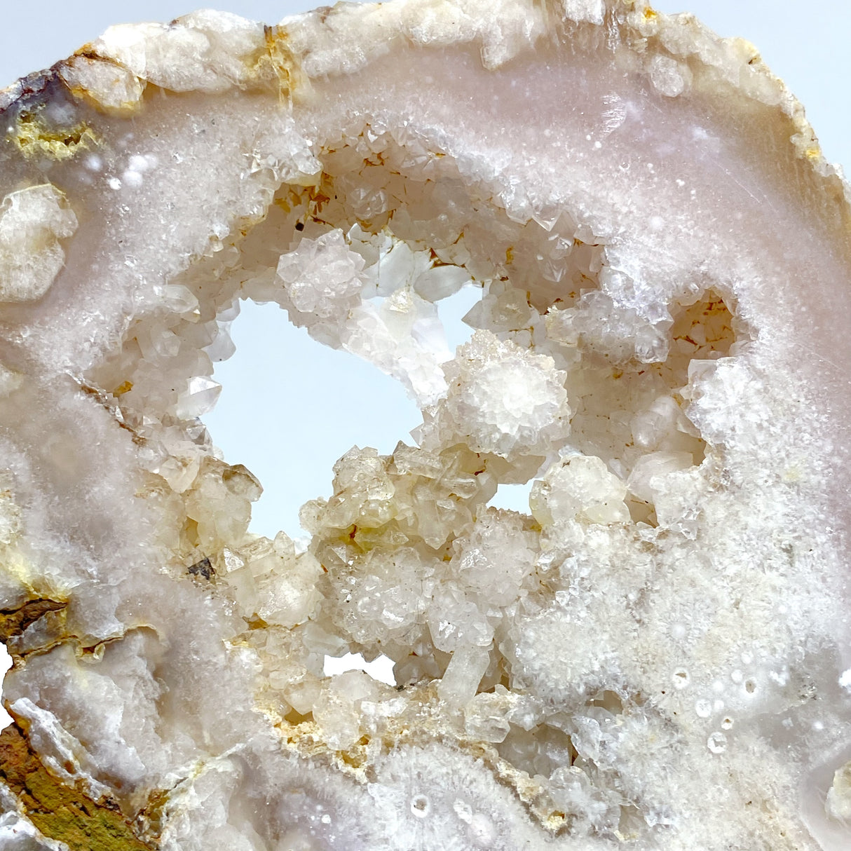 2 Pairs Geode Druzy Sakura Flower Agate Butterfly Wing With Stand