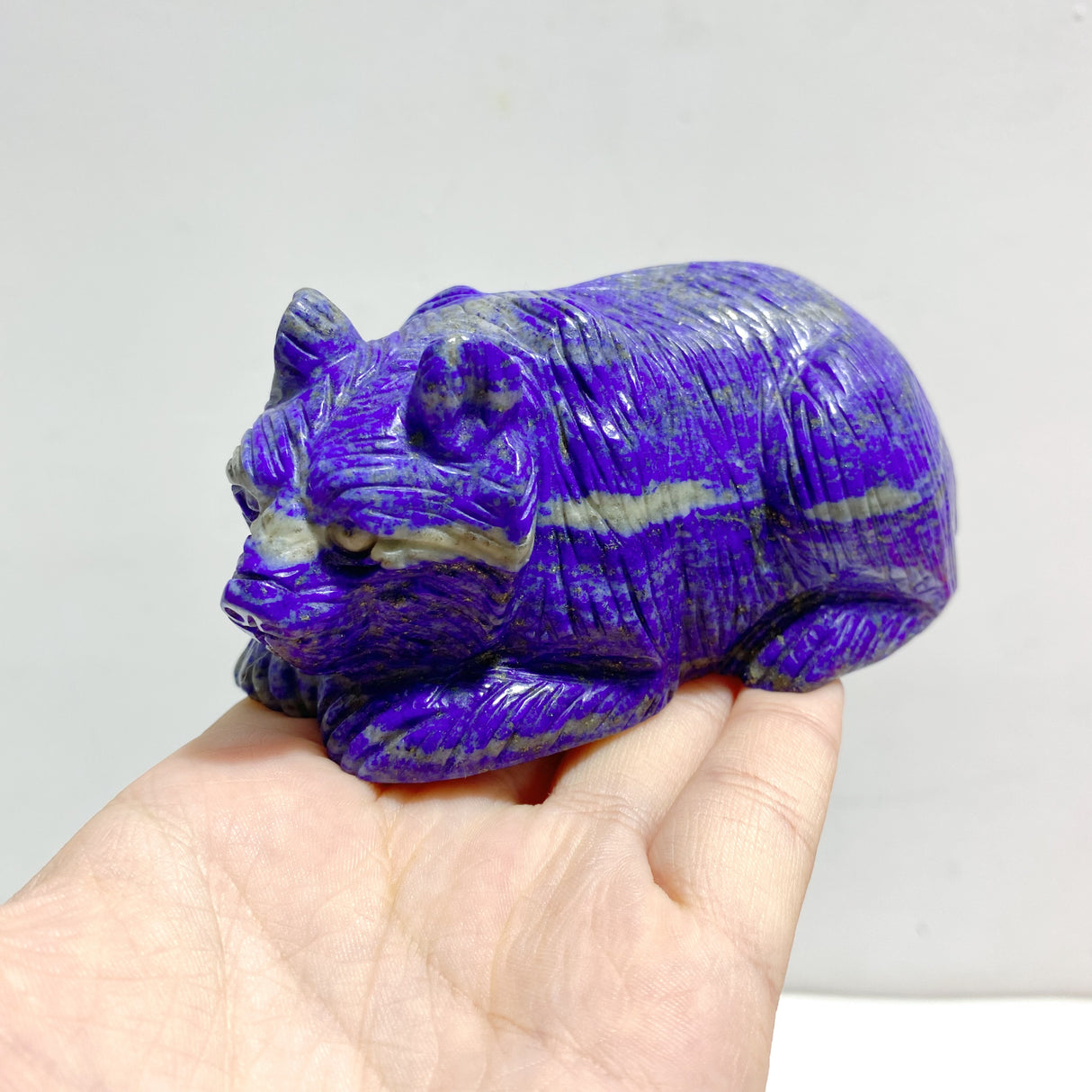 5 Pieces Lapis Lazuli Bears Carving