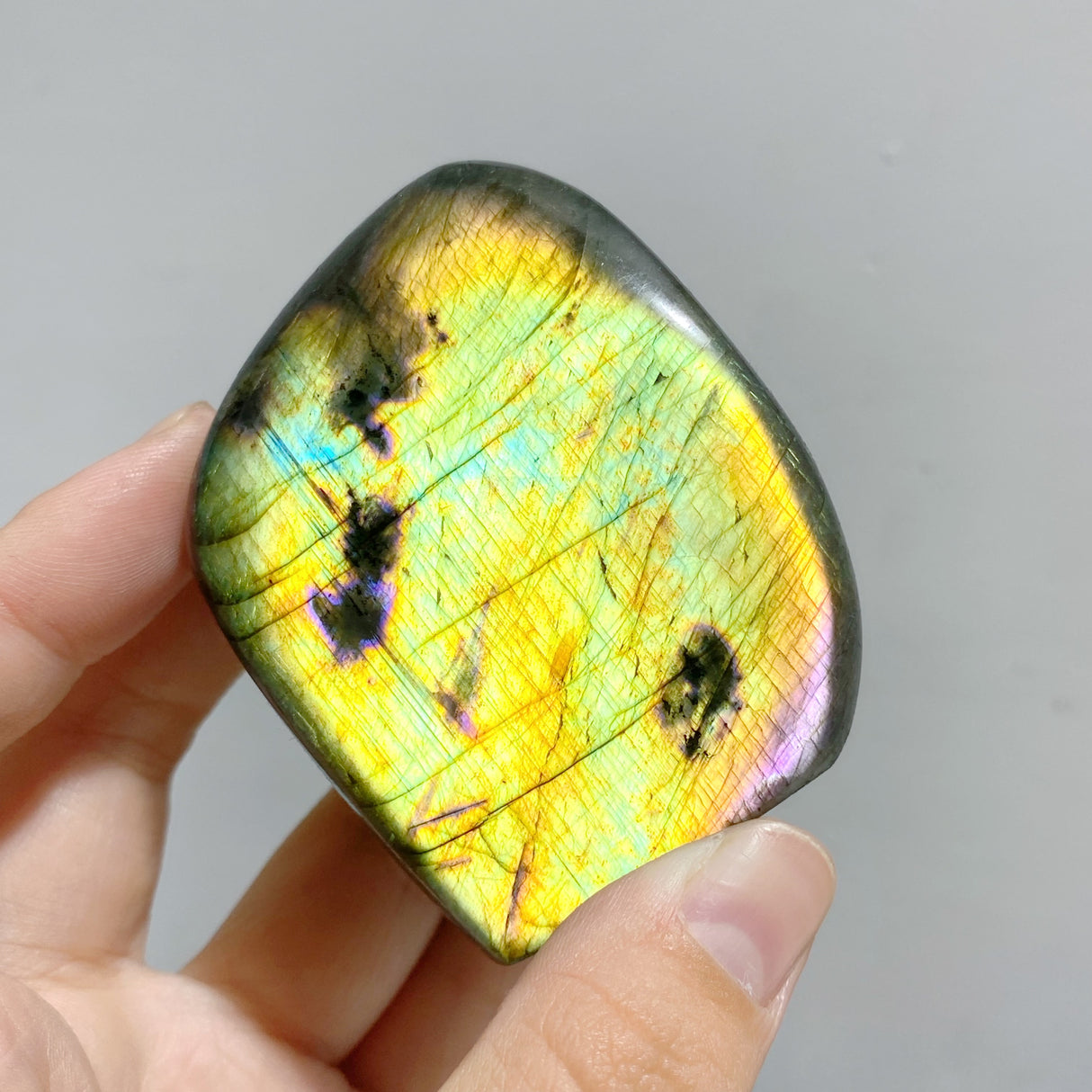 35 Pieces Polished Labradorite Free Form