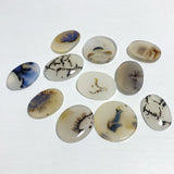11 Pieces Natural Rare Scenic Dendritic Agate Stone