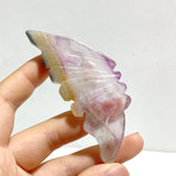 5 Pairs Fluorite Small Butterfly Wing With Stand - Wholesale Crystals