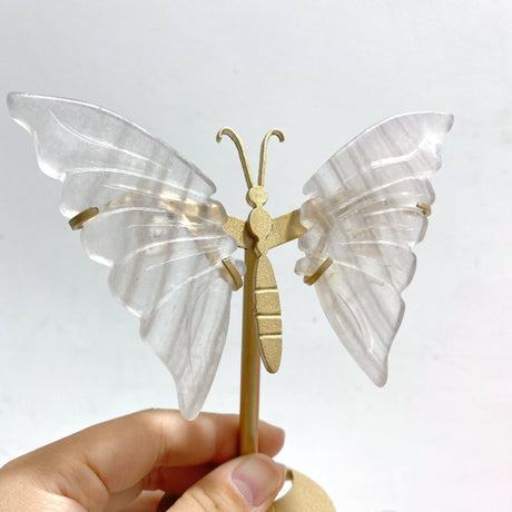 5 Pairs Fluorite Small Butterfly Wing With Stand - Wholesale Crystals