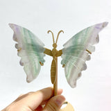 5 Pairs Fluorite Small Butterfly Wing With Stand - Wholesale Crystals
