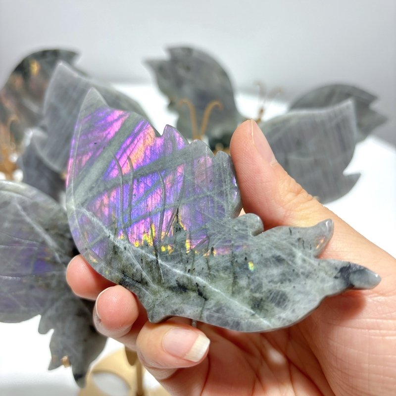 5 Pairs Purple Labradorite Butterfly Wing Carving With Stand - Wholesale Crystals