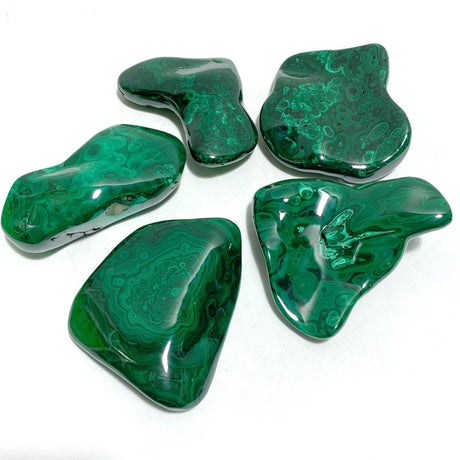 5 Pieces High Quality Polished Malachite Free Form - Wholesale Crystals