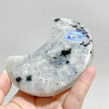 5 Pieces India Moonstone Moon Carving With Stand -Wholesale Crystals