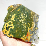 5 Pieces Large 8th Vein Ocean Jasper Slabs - Wholesale Crystals