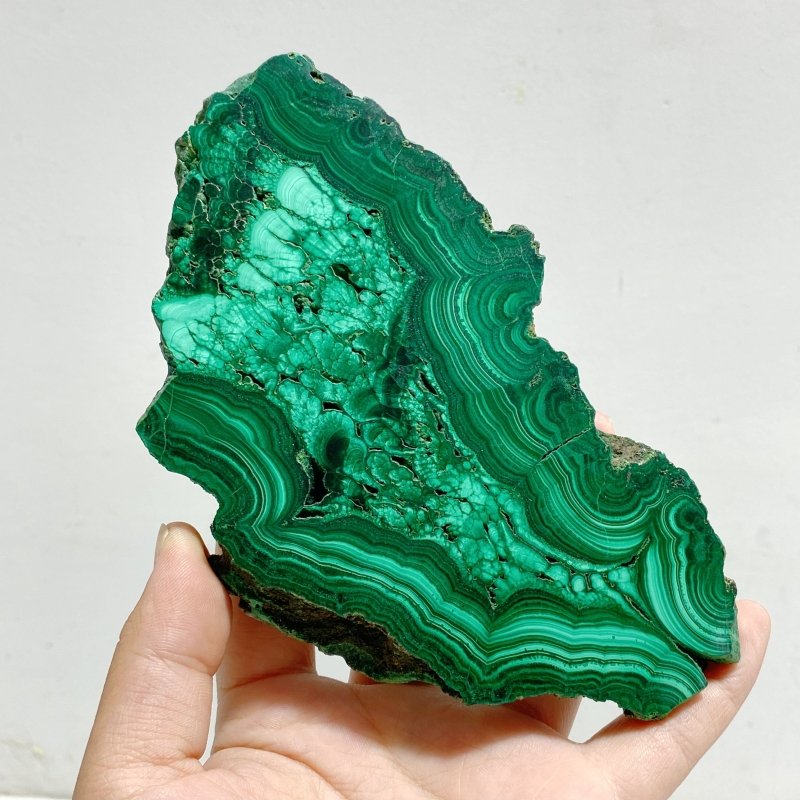 5 Pieces Large Beautiful Malachite Slab - Wholesale Crystals