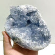 5 Pieces Large Blue Celestite Cluster Home Decor - Wholesale Crystals