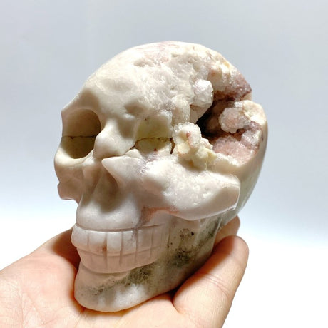 5 Pieces Sakura Agate Skull Carving Clearance - Wholesale Crystals