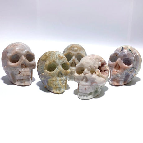 5 Pieces Sakura Agate Skull Carving Clearance - Wholesale Crystals