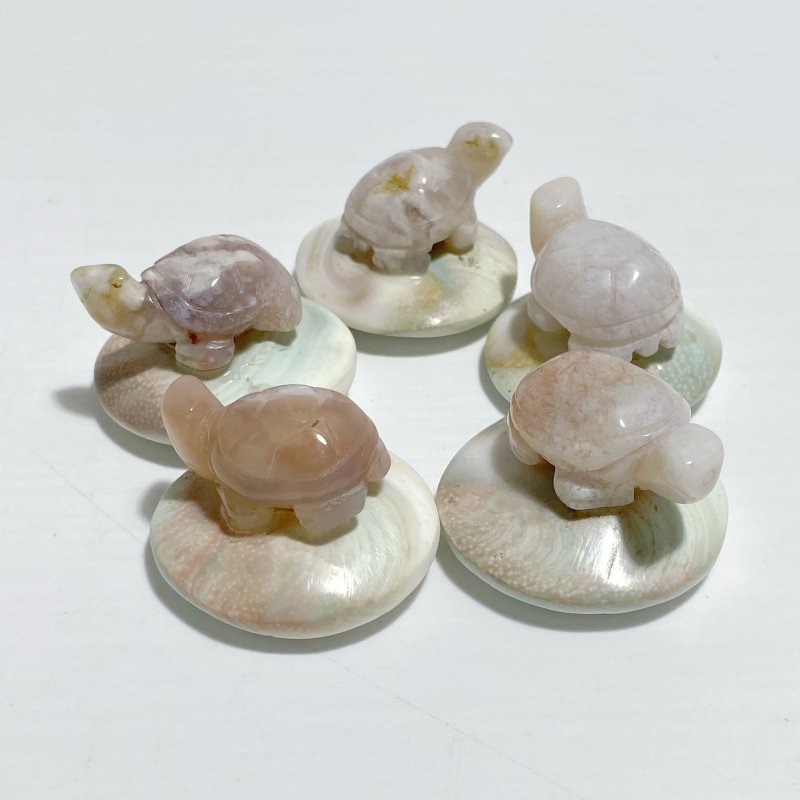 5 Types Mini Turtle On The Shell Fossil Wholesale Moss Agate Tiger Eye - Wholesale Crystals