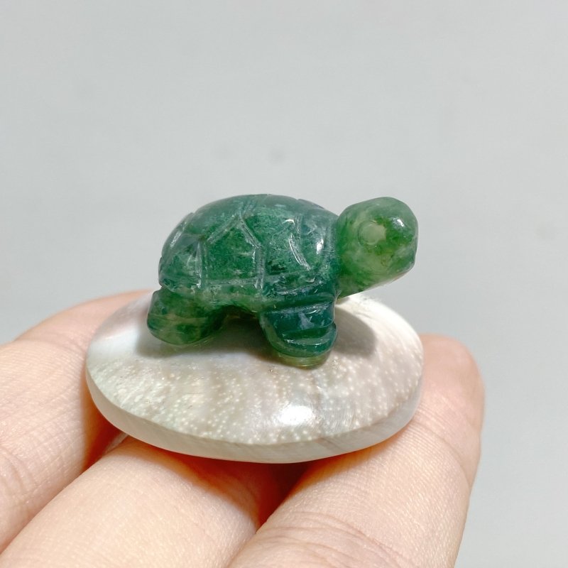 5 Types Mini Turtle On The Shell Fossil Wholesale Moss Agate Tiger Eye - Wholesale Crystals