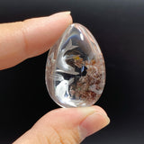 4 Pieces Dolphin Garden Quartz Inner Scene Carving