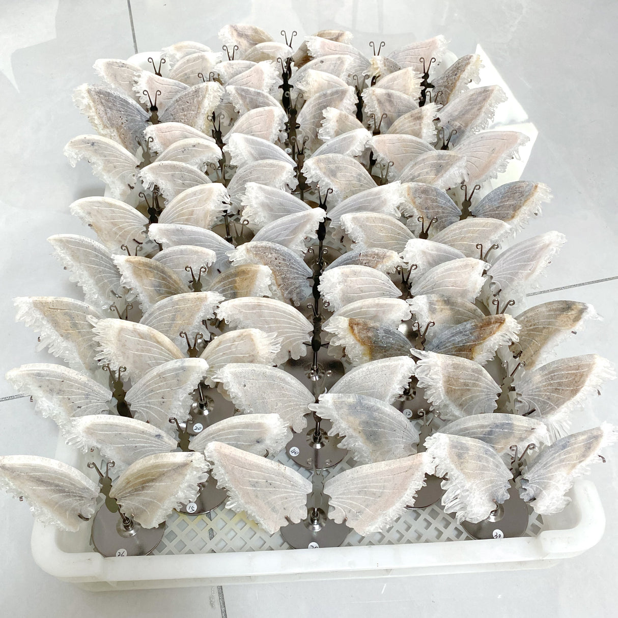 Clear Quartz Cluster Butterfly Wing With Stand Wholesale