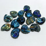 Labradorite Conch Carving Wholesale