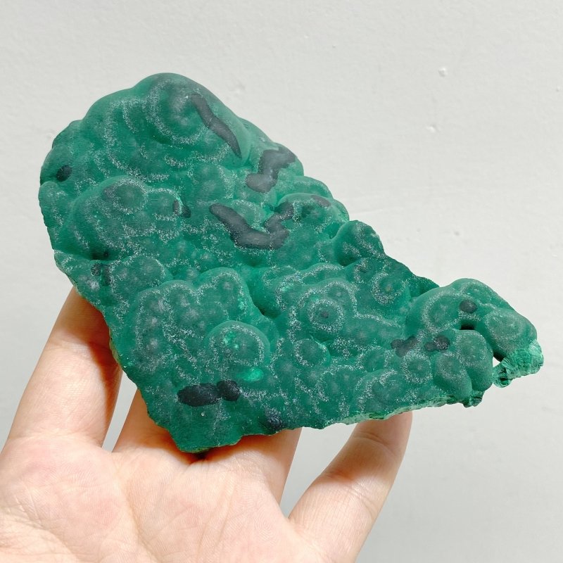 6 Pieces Beautiful High Quality Raw Malachite Specimen - Wholesale Crystals