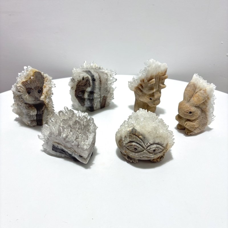 6 Pieces Cute Clear Quartz Cluster Animal Carving - Wholesale Crystals