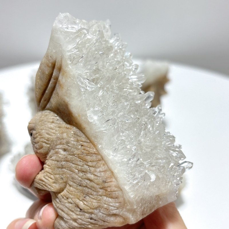 6 Pieces Cute Clear Quartz Cluster Animal Carving - Wholesale Crystals