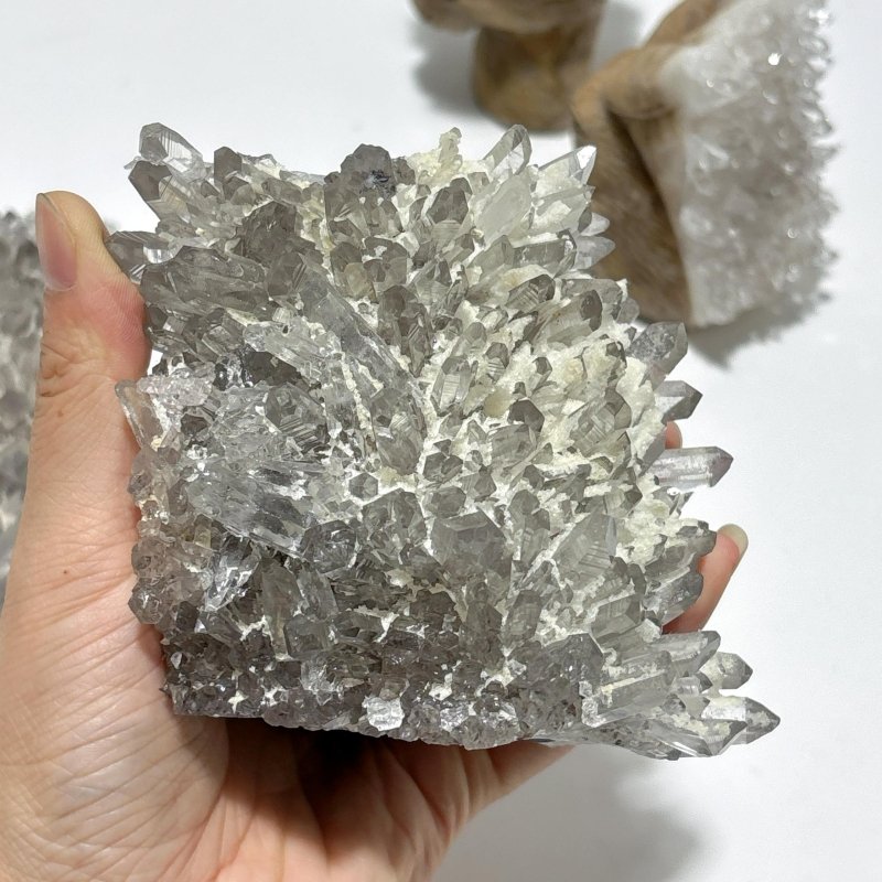 6 Pieces Cute Clear Quartz Cluster Animal Carving - Wholesale Crystals