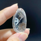 6 Pieces Fish Garden Quartz Inner Scene Carving -Wholesale Crystals