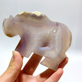 6 Pieces Geode Druzy Agate Rhino Carving - Wholesale Crystals