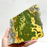 6 Pieces Large 8th Vein Ocean Jasper Slabs - Wholesale Crystals