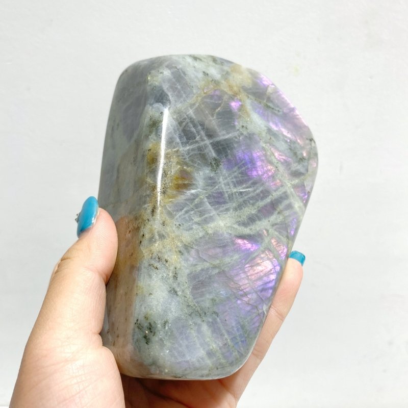 6 Pieces Large Beautiful Polished Labradorite Free Form - Wholesale Crystals