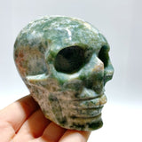 6 Pieces Moss Agate Skull Carving - Wholesale Crystals