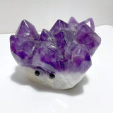 6 Pieces Polished Amethyst Teeth Cluster Groot Carving - Wholesale Crystals