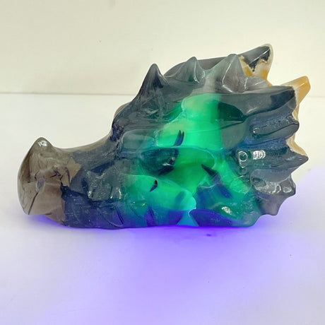 6 Pieces Volcanic Agate Dragon Head Carving(UV - Reactive) - Wholesale Crystals