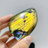 15 Pieces Labradorite Polished Free Form