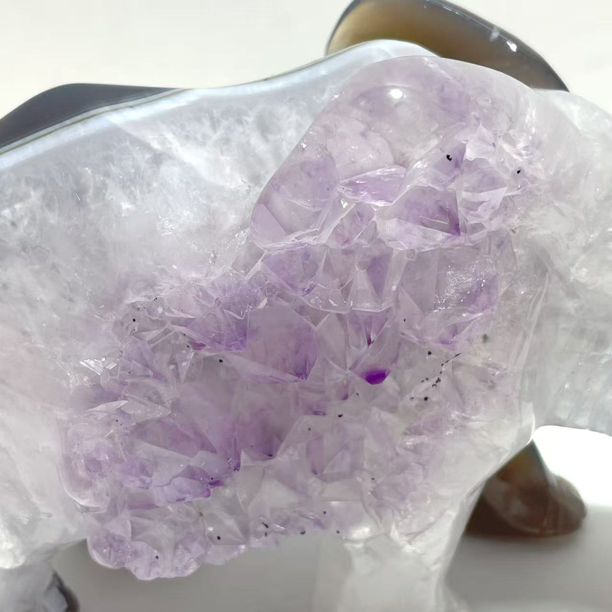Beautiful Amethyst Mixed Geode Agate Druzy Elephant Animal Carving #A04