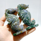 10 Pieces Moss Agate Seahorse Carving